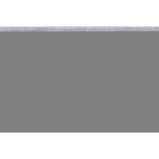 Faller 272313 N Voetpad (l x b) 300 mm x 120 mm