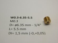 micromotor W0.3-6.35-5.5 wormwiel