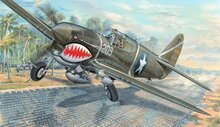 Trumpeter 03227 P-40F War Hawk Bouwpakket Schaal 1:32