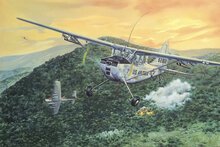 Roden 619 L-19/O-1 Bird Dog Bouwpakket Schaal 1:32