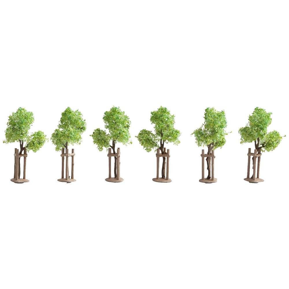 NOCH 21538 Set bomen Jonge boom 40 mm (min) 6 stuk(s)
