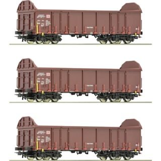 Roco 6600131 Open wagen DC