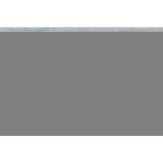 Faller 272313 N Voetpad (l x b) 300 mm x 120 mm