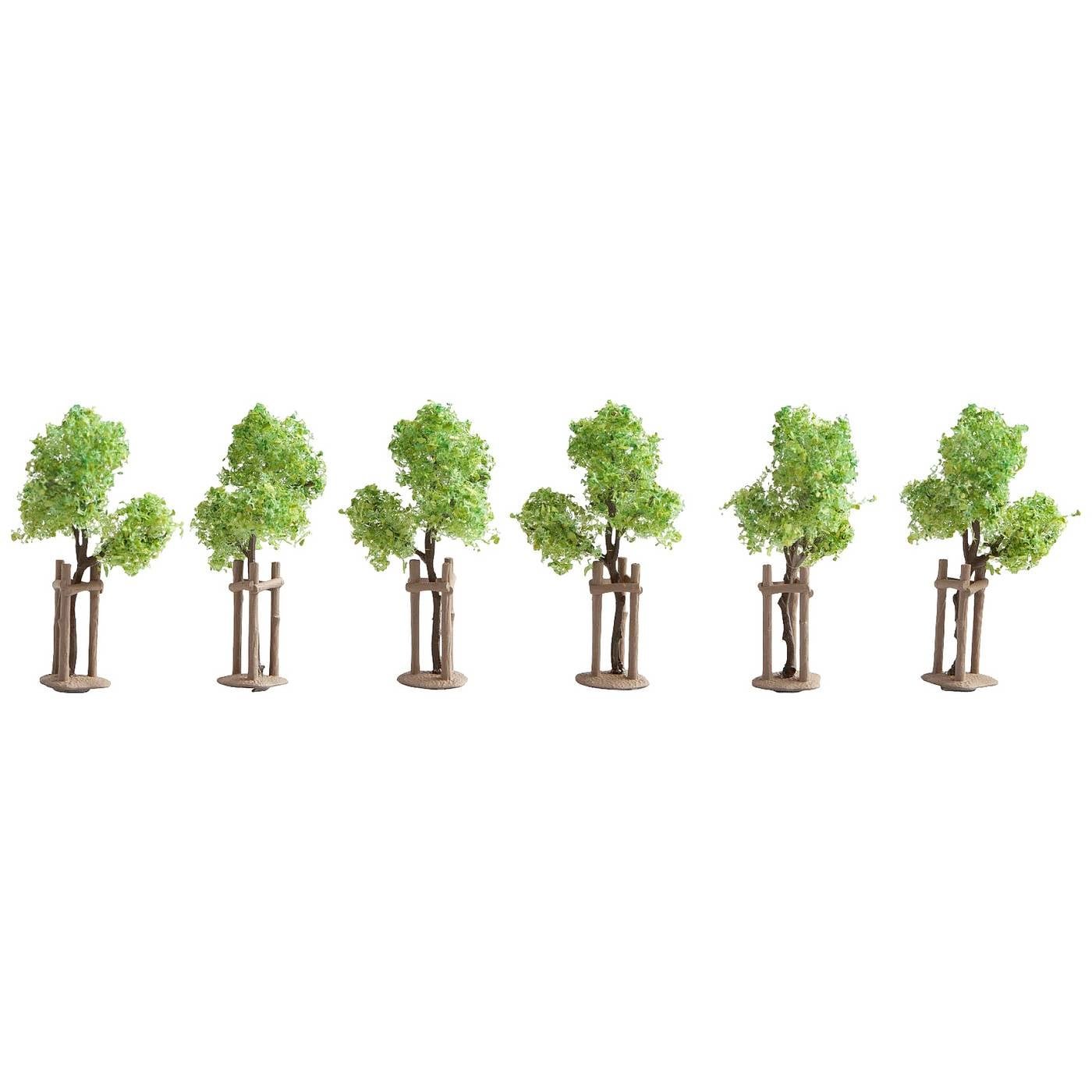 NOCH 21538 Set bomen Jonge boom 40 mm (min) 6 stuk(s)
