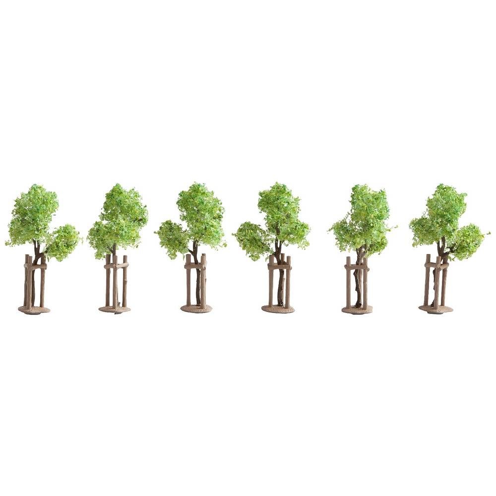 NOCH 21538 Set bomen Jonge boom 40 mm (min) 6 stuk(s)